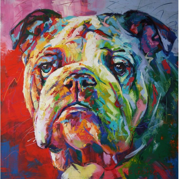 English Bulldog